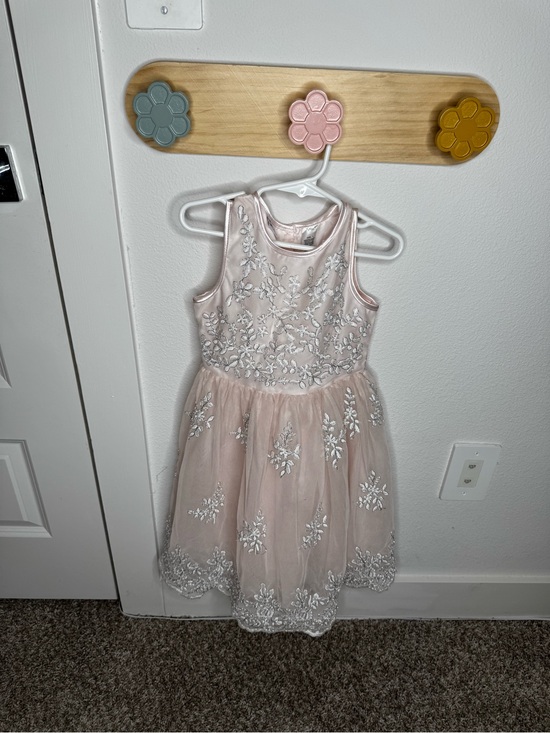 Blueuber Other - Blueber Boulevard Light Pink Floral Embroidered Tulle Dress